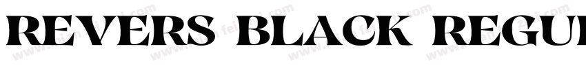 Revers Black Regular字体转换